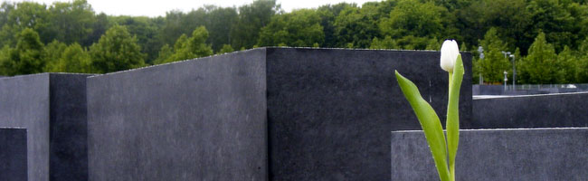 Fotoreihe 05 - Denkmal für die ermordeten Juden Europas, Berlin_06