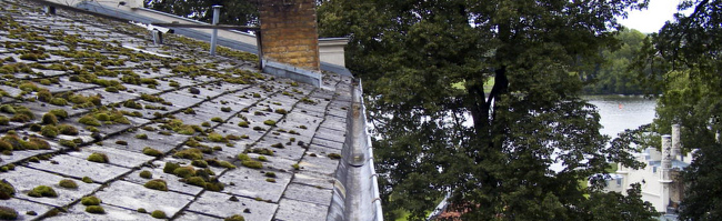 Fotoreihe 06 - Marstall im Schloßpark Babelsberg, Potsdam - Babelsberg_02