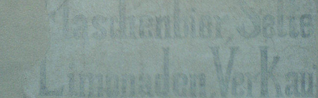 Manuel Fröhlich - Tagebuch